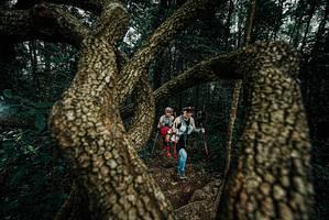 BIB: 
                            <button type="button" onclick="openModal(25699064)" class="btn btn-primary btn-sm float-right btn-popup" data-toggle="modal" data-target=".modal-high-quality">
                        <i class="fas fa-shopping-cart"></i> Add to Cart
                    </button>
                                            <button type="button" onclick="isThisMe(25699064, true)" class="btn btn-success btn-sm float-right btn-popup btn-isme hidden" data-toggle="tooltip" data-placement="bottom" title="นี่คือรูปของคุณใช่ไหม คลิกที่นี่เพื่อเอาเข้าอัลบั้ม">
                        <i class="fas fa-plus"></i> Add to album
                    </button>
                    <button type="button" onclick="isThisMe(25699064, false)" class="btn btn-warning btn-sm float-right btn-popup btn-isnotme hidden">
                        <i class="fas fa-ban"></i> Remove from album
                    </button>